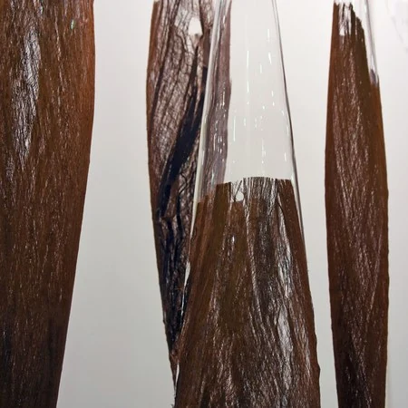 Graines de moi