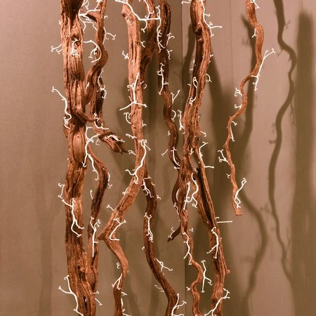 Mycélianes