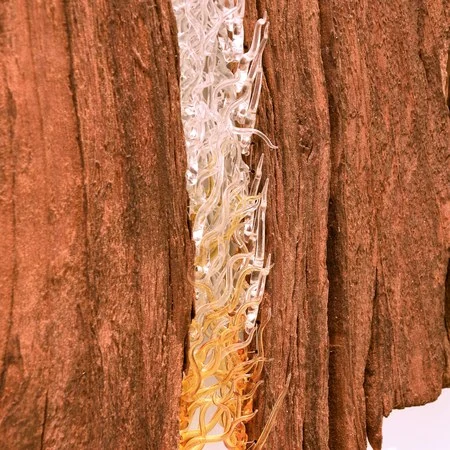 Pranarbre