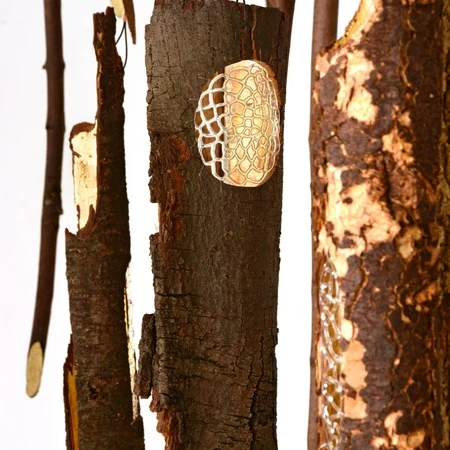La forêt de lumière