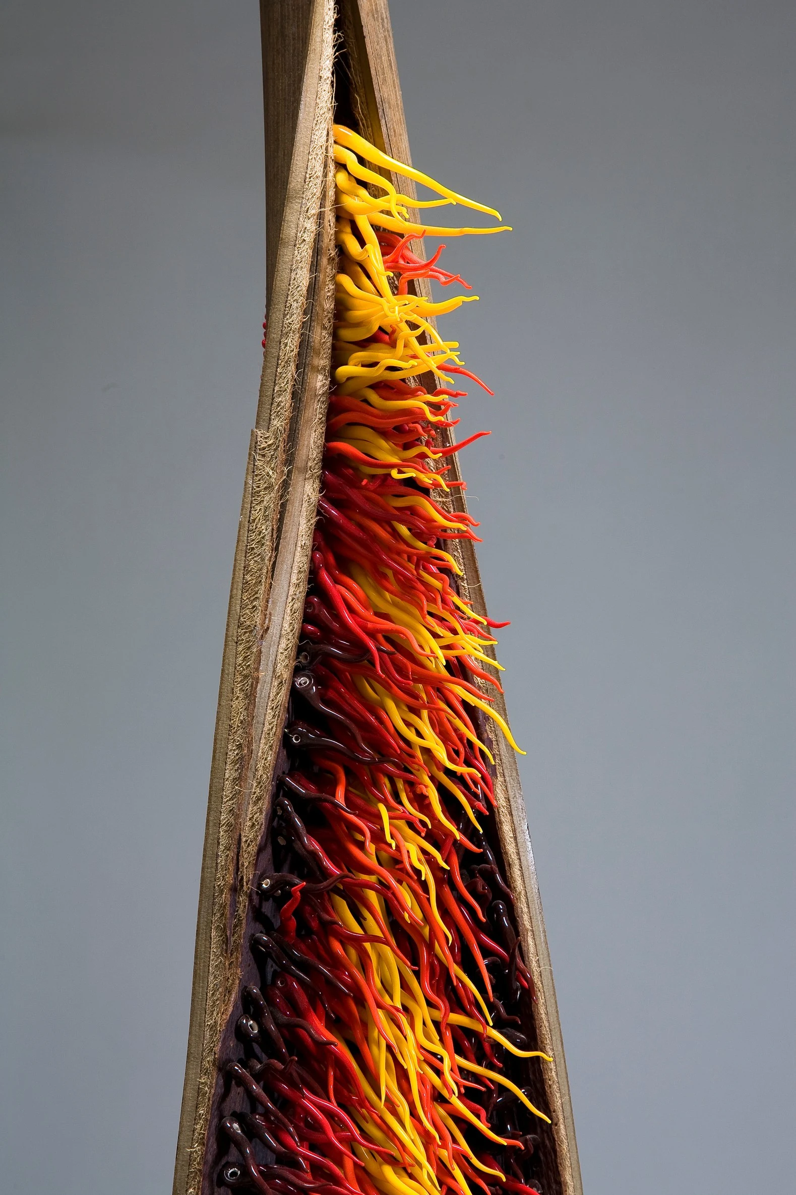 La palme