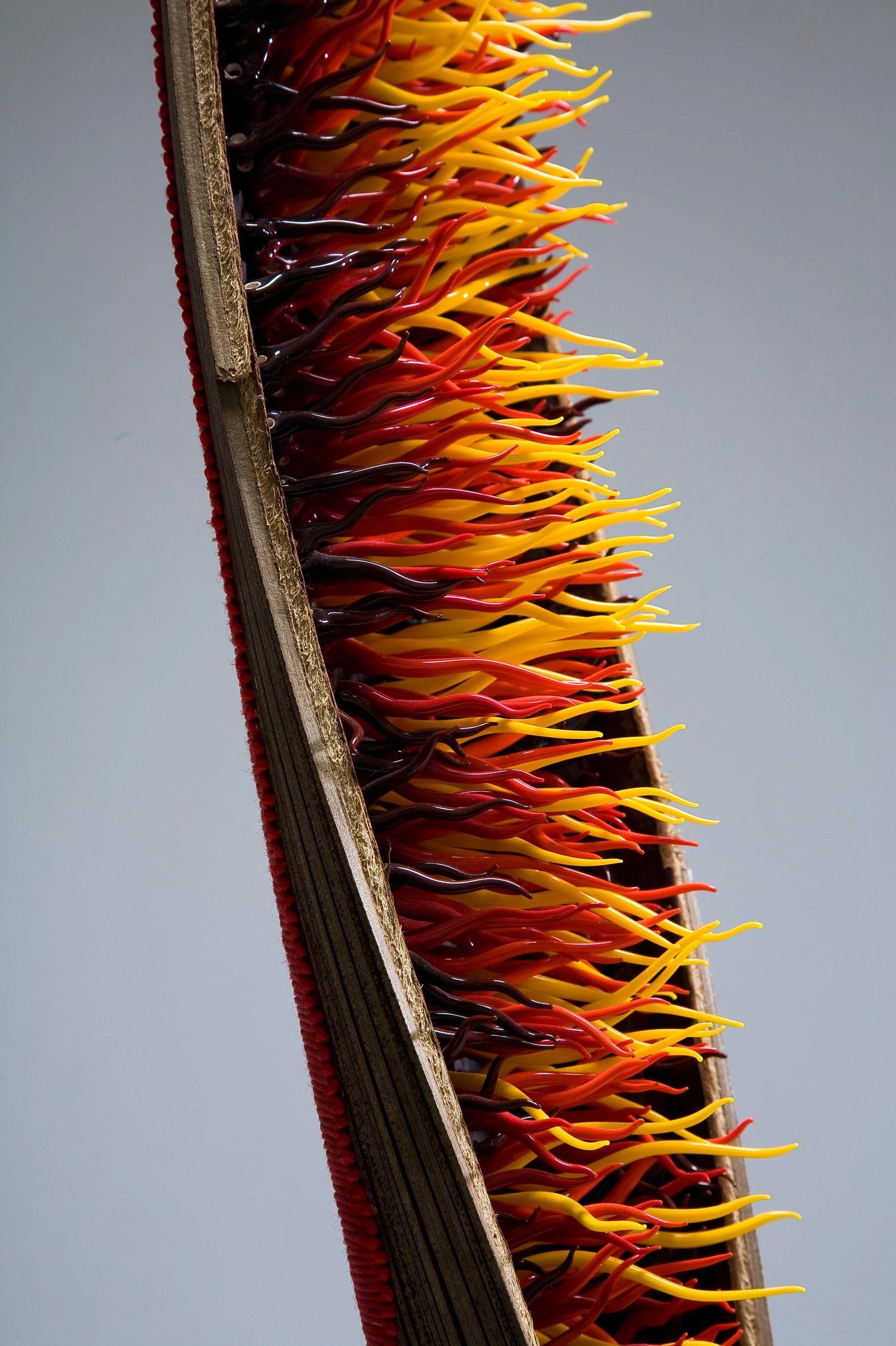 La palme