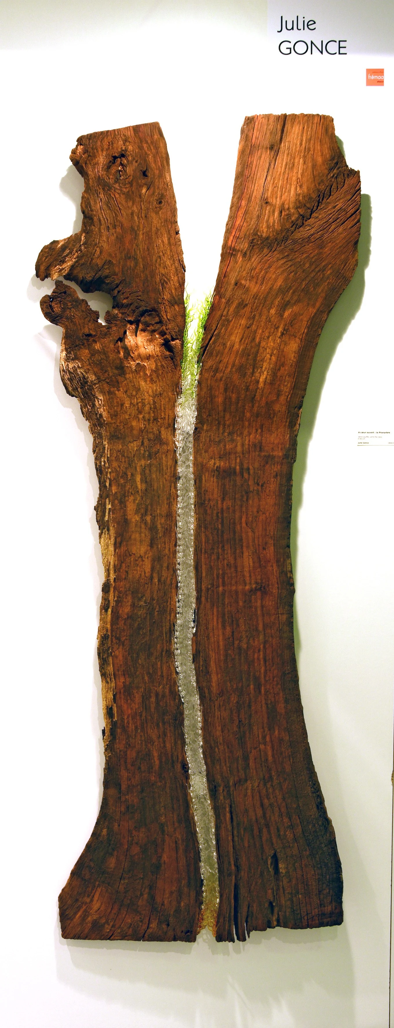 Pranarbre
