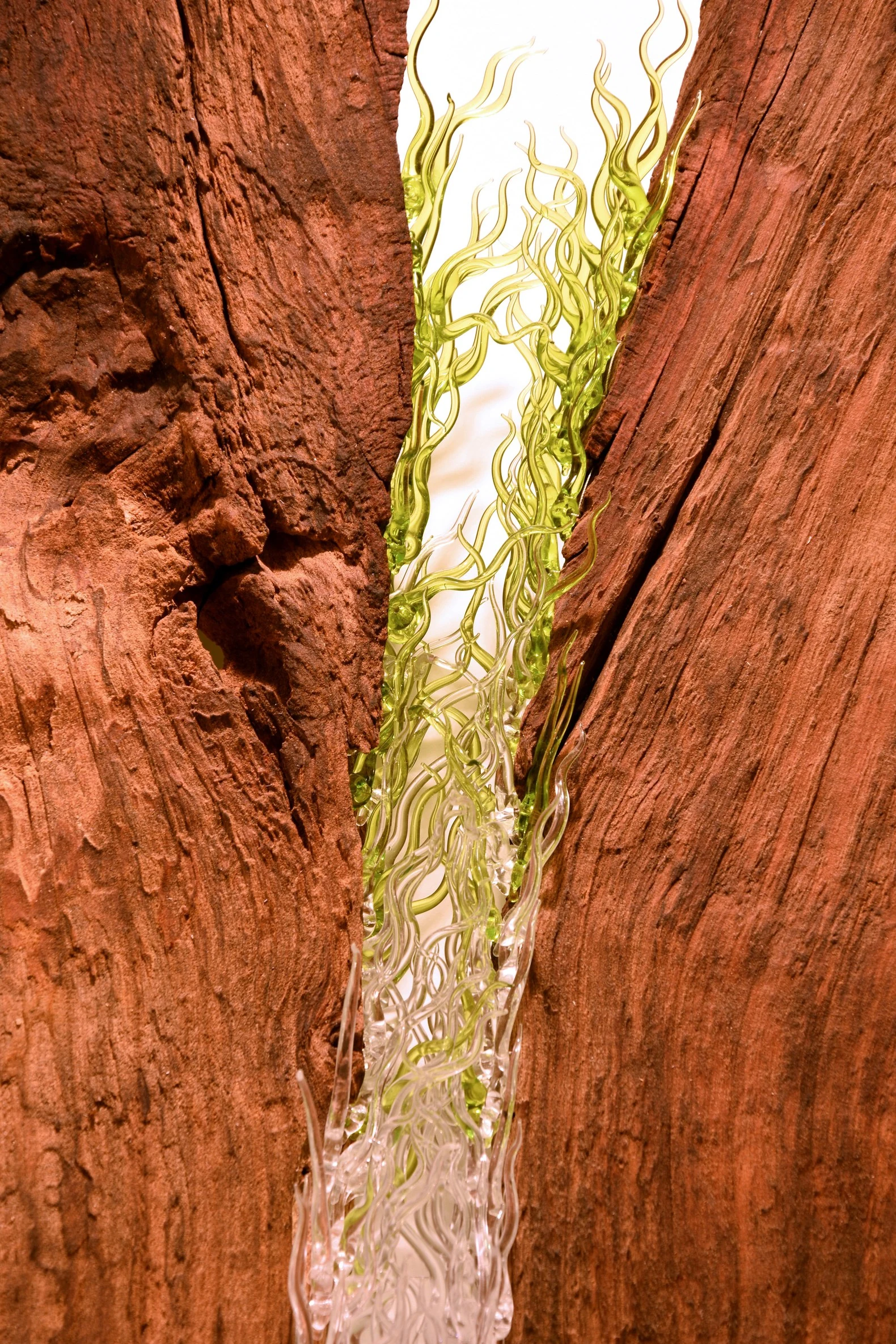 Pranarbre