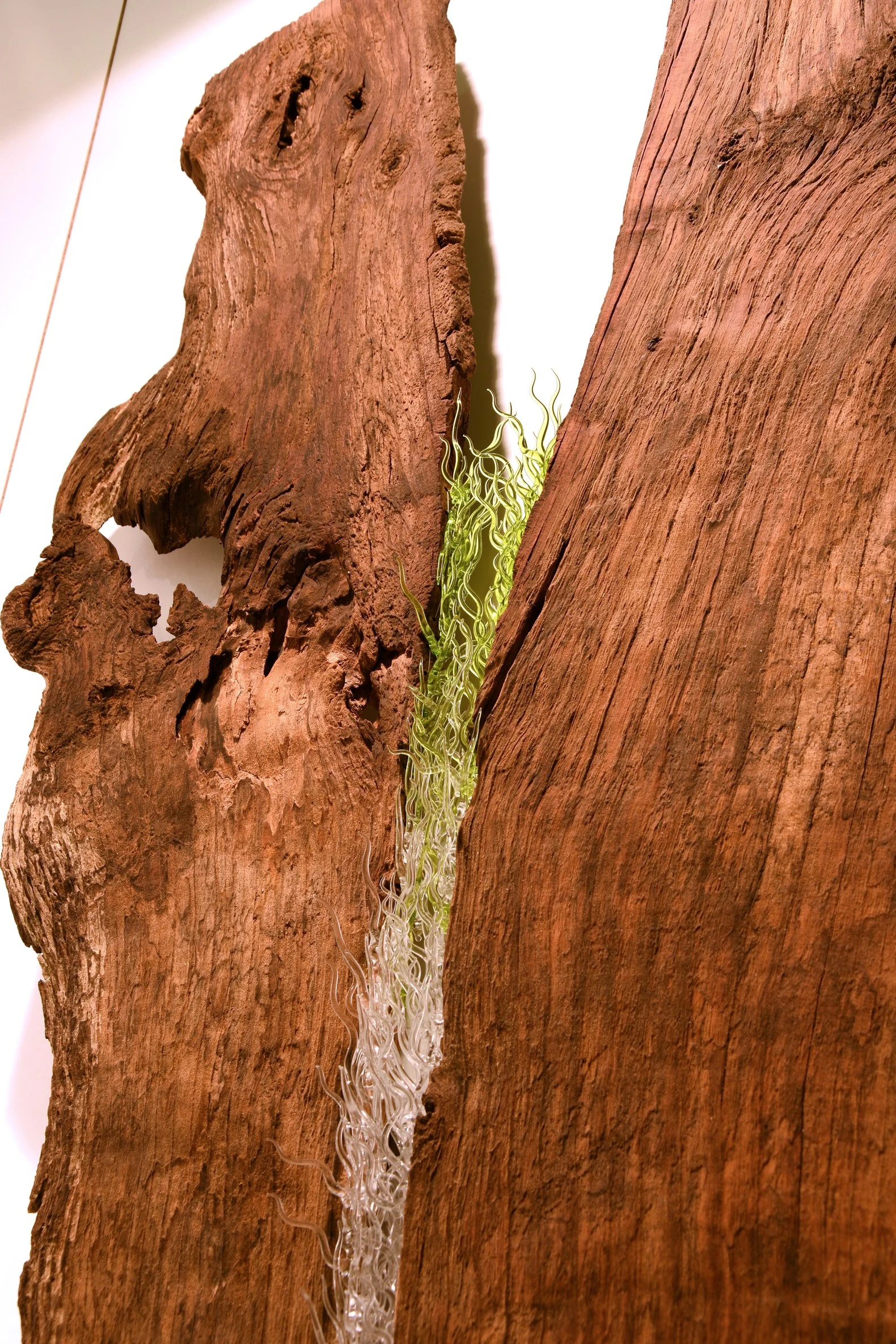 Pranarbre