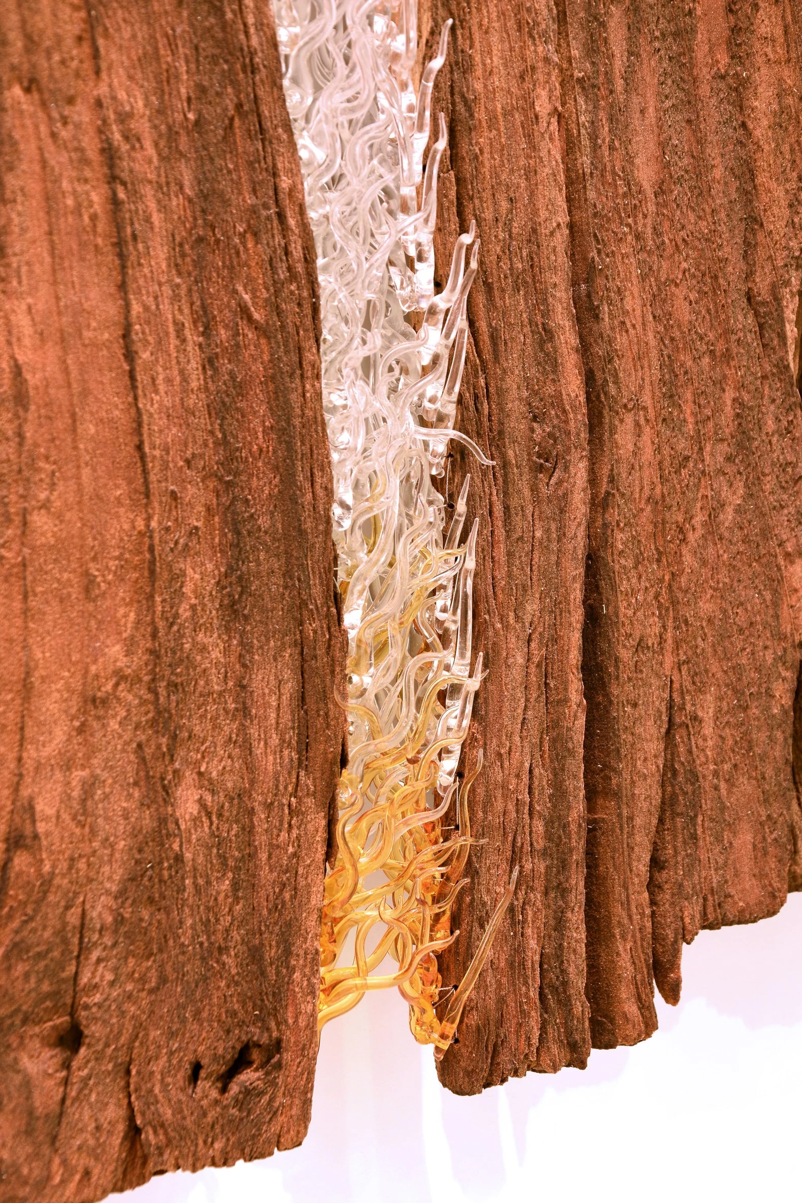 Pranarbre