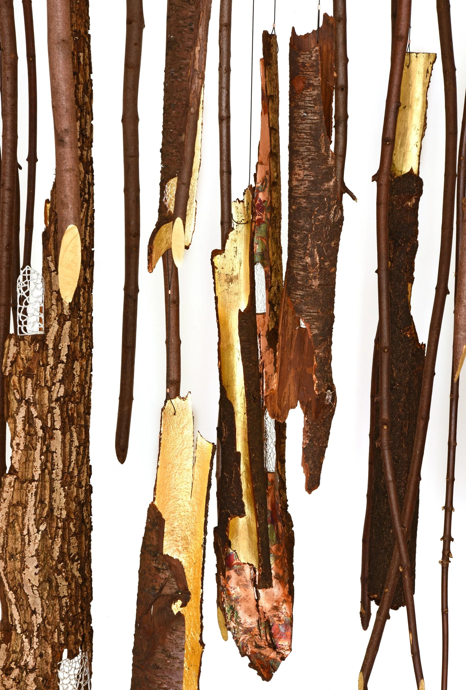 La forêt de lumière